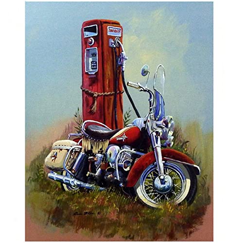 1000 Teile Puzzle für Erwachsene, Auto, pädagogisches Eltern-Kind-Spiel, Wanddekoration, Geschenk, 50 x 70 cm von AWYHEZ
