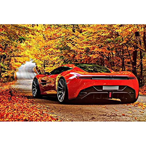 1000 Teile Puzzle für Erwachsene, Auto, pädagogisches Eltern-Kind-Spiel, Wanddekoration, Geschenk, 50 x 70 cm von AWYHEZ