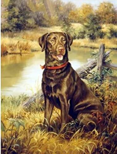 1000 Teile Puzzle für Erwachsene, Hund, Kinder, Familie, Lernspiel, Heimdekoration, Geschenk, 26 x 38 cm 1000 Teile Puzzle für Erwachsene, Hund, Kinder, Familie, Lernspiel, Heimdekoration, Geschenk, 26 x 38 cm von AWYHEZ