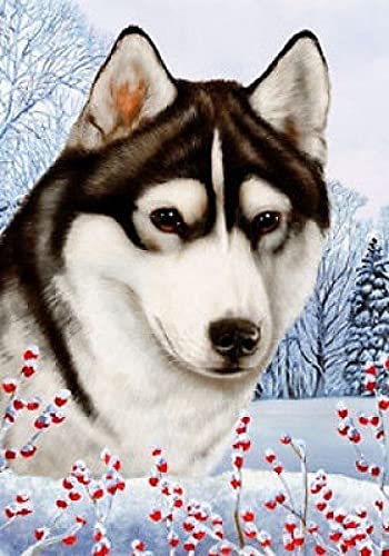 1000 Teile Puzzle für Erwachsene, Hund, Kinder, Familie, Lernspiel, Heimdekoration, Geschenk, 26 x 38 cm 1000 Teile Puzzle für Erwachsene, Hund, Kinder, Familie, Lernspiel, Heimdekoration, Geschenk, 26 x 38 cm von AWYHEZ