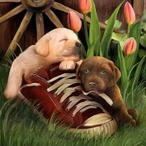 1000 Teile Puzzle für Erwachsene, Hund, Kinder, Familie, Lernspiel, Heimdekoration, Geschenk, 38 x 52 cm 1000 Teile Puzzle für Erwachsene, Hund, Kinder, Familie, Lernspiel, Heimdekoration, Geschenk, 38 x 52 cm von AWYHEZ