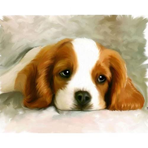 1000 Teile Puzzle für Erwachsene, Hund, Kinder, Familie, Lernspiel, Heimdekoration, Geschenk, 38 x 52 cm 1000 Teile Puzzle für Erwachsene, Hund, Kinder, Familie, Lernspiel, Heimdekoration, Geschenk, 38 x 52 cm von AWYHEZ