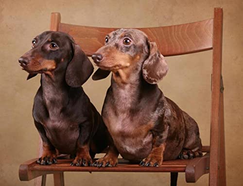 1000 Teile Puzzle für Erwachsene, Hund, Kinder, Familie, Lernspiel, Heimdekoration, Geschenk, 50 x 70 cm 1000 Teile Puzzle für Erwachsene, Hund, Kinder, Familie, Lernspiel, Heimdekoration, Geschenk, 50 x 70 cm von AWYHEZ