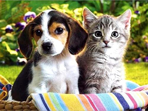 1000 Teile Puzzle für Erwachsene, Hund, Kinder, Familie, Lernspiel, Heimdekoration, Geschenk, 50 x 70 cm 1000 Teile Puzzle für Erwachsene, Hund, Kinder, Familie, Lernspiel, Heimdekoration, Geschenk, 50 x 70 cm von AWYHEZ