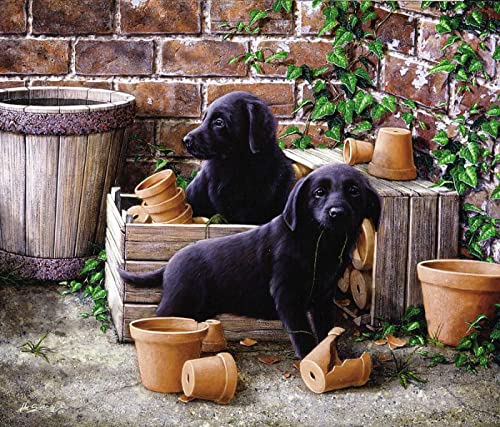 1000 Teile Puzzle für Erwachsene, Hund, Kinder, Familie, Lernspiel, Heimdekoration, Geschenk, 50 x 70 cm 1000 Teile Puzzle für Erwachsene, Hund, Kinder, Familie, Lernspiel, Heimdekoration, Geschenk, 50 x 70 cm von AWYHEZ