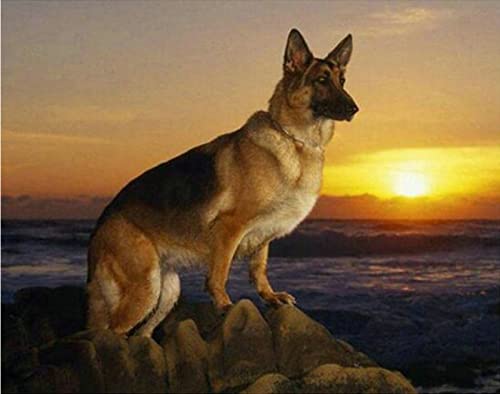 1000 Teile Puzzle für Erwachsene, Hund, Kinder, Familie, Lernspiel, Heimdekoration, Geschenk, 50 x 70 cm 1000 Teile Puzzle für Erwachsene, Hund, Kinder, Familie, Lernspiel, Heimdekoration, Geschenk, 50 x 70 cm von AWYHEZ