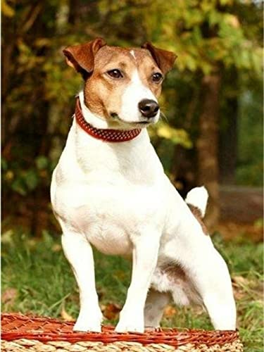 1000 Teile Puzzle für Erwachsene, Hund, Kinder, Familie, Lernspiel, Heimdekoration, Geschenk, 50 x 70 cm 1000 Teile Puzzle für Erwachsene, Hund, Kinder, Familie, Lernspiel, Heimdekoration, Geschenk, 50 x 70 cm von AWYHEZ