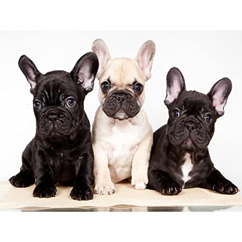 1000 Teile Puzzle für Erwachsene, Hund, Kinder, Familie, Lernspiel, Heimdekoration, Geschenk, 50 x 70 cm 1000 Teile Puzzle für Erwachsene, Hund, Kinder, Familie, Lernspiel, Heimdekoration, Geschenk, 50 x 70 cm von AWYHEZ
