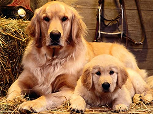 1000 Teile Puzzle für Erwachsene, Hund, Kinder, Familie, Lernspiel, Heimdekoration, Geschenk, 50 x 70 cm 1000 Teile Puzzle für Erwachsene, Hund, Kinder, Familie, Lernspiel, Heimdekoration, Geschenk, 50 x 70 cm von AWYHEZ