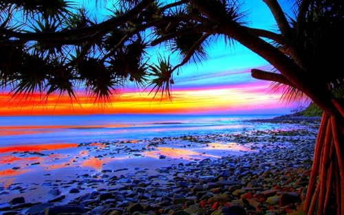 1000-teiliges Puzzle für Erwachsene, Tropische Landschaft, farbenfroher Strandsonnenuntergang, 50 x 70 cm 1000-teiliges Puzzle für Erwachsene, Tropische Landschaft, farbenfroher Strandsonnenuntergang, 50 x 70 cm von AWYHEZ