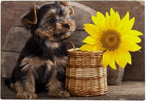 1000-teiliges Puzzle für Erwachsene – Yorkshire Terrier Welpe, Sonnenblume, 50 x 70 cm von AWYHEZ