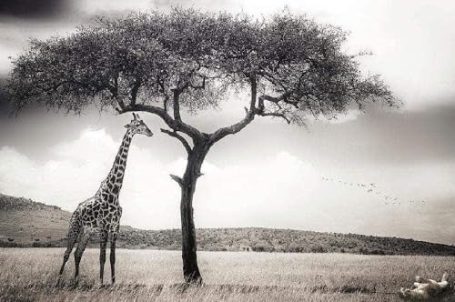 2000 Teile Giraffe und großes Baumlandschaftsmuster Papierpuzzle für Erwachsene Tolles Lernspiel 70X100CM von AWYHEZ