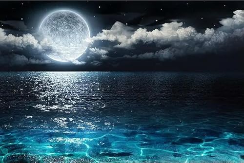 2000 Teile Mond geht über dem Meer auf Papierpuzzle Lernspielzeug für Erwachsene 70 x 100 cm 2000 Teile Mond geht über dem Meer auf Papierpuzzle Lernspielzeug für Erwachsene 70 x 100 cm von AWYHEZ