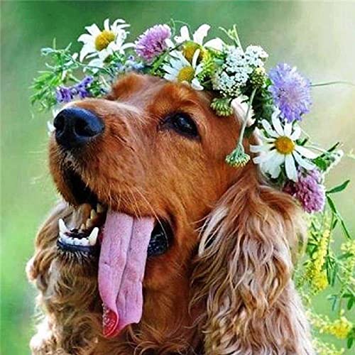 2000 Teile Puzzle für Erwachsene, Hund, Kinder, Familie, Lernspiel, Heimdekoration, Geschenk, 70 x 100 cm 2000 Teile Puzzle für Erwachsene, Hund, Kinder, Familie, Lernspiel, Heimdekoration, Geschenk, 70 x 100 cm von AWYHEZ