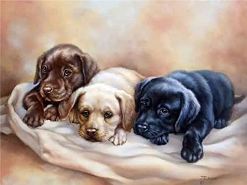 2000 Teile Puzzle für Erwachsene, Hund, Kinder, Familie, Lernspiel, Heimdekoration, Geschenk, 70 x 100 cm 2000 Teile Puzzle für Erwachsene, Hund, Kinder, Familie, Lernspiel, Heimdekoration, Geschenk, 70 x 100 cm von AWYHEZ
