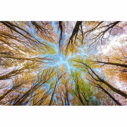 2000-teiliges Puzzle für Erwachsene, Bunte Papierpuzzles, lustiges Familienpuzzle, Lernspiel, Heimdekoration, großes Puzzle für Erwachsene, Kinderspiel, 70 x 100 cm von AWYHEZ