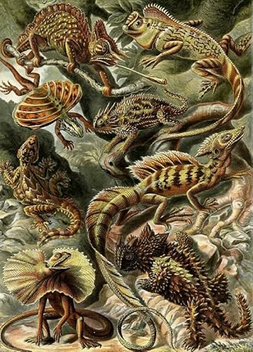 2000-teiliges Puzzle für Erwachsene, Lernspiel, Herausforderung, Spielzeug, E.Haeckel, Heimdekoration, 70 x 100 cm 2000-teiliges Puzzle für Erwachsene, Lernspiel, Herausforderung, Spielzeug, E.Haeckel, Heimdekoration, 70 x 100 cm von AWYHEZ