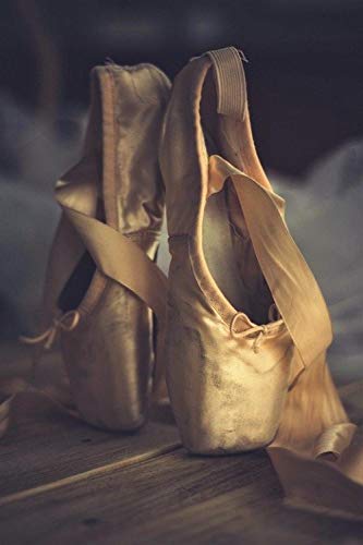 Ballettschuh-Musterpuzzle, Puzzle für Erwachsene, Papierpuzzle, 2000-teiliges Puzzle für Erwachsene, 70 x 100 cm von AWYHEZ