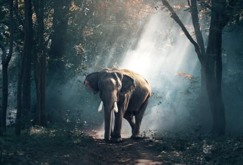 Elefant im Wald – 2000-teiliges Papierpuzzle – Spiele für Erwachsene, Puzzles, Geschenke für Frauen70X100CM Elefant im Wald – 2000-teiliges Papierpuzzle – Spiele für Erwachsene, Puzzles, Geschenke für Frauen70X100CM von AWYHEZ