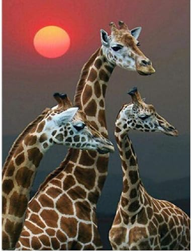 Giraffen-Puzzle, 2000 Teile, anspruchsvolles Puzzle für Erwachsene, schwierige Familienspiele, Heimdekorationsgeschenke, 70 x 100 cm von AWYHEZ