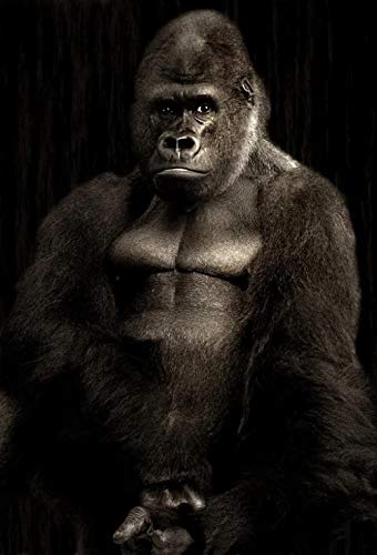 Gorilla-Säugetiere, 2000-teiliges Puzzle für Erwachsene, 70 x 100 cm von AWYHEZ