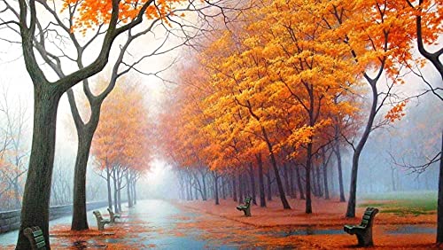 Herbstpark-Musterpuzzle, Puzzle für Erwachsene, Papierpuzzle, 2000-teiliges Puzzle für Erwachsene, 70 x 100 cm von AWYHEZ