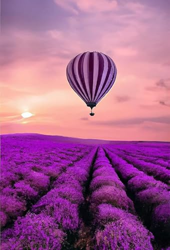 Lavendelviolett und Heißluftballon – 1000-teiliges Papierpuzzle – Großes Lernspiel für Erwachsene und die Familie 50 x 70 cm Lavendelviolett und Heißluftballon – 1000-teiliges Papierpuzzle – Großes Lernspiel für Erwachsene und die Familie 50 x 70 cm von AWYHEZ