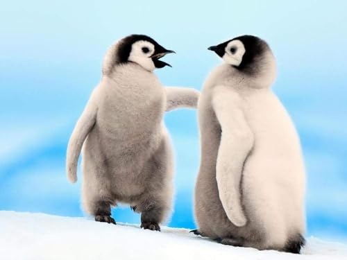 Papierpuzzle für Erwachsene 1000 Teile Pinguin Familienunterhaltung Lernspielzeug für Erwachsene38X52CM Papierpuzzle für Erwachsene 1000 Teile Pinguin Familienunterhaltung Lernspielzeug für Erwachsene38X52CM von AWYHEZ