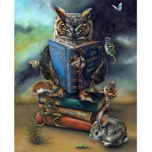 Puzzle für Erwachsene, 1000 Teile, Eulen-Lesebuch, Lernspiele, Denksportaufgabe, Puzzle für Kinder und Erwachsene, 26 x 38 cm Puzzle für Erwachsene, 1000 Teile, Eulen-Lesebuch, Lernspiele, Denksportaufgabe, Puzzle für Kinder und Erwachsene, 26 x 38 cm von AWYHEZ