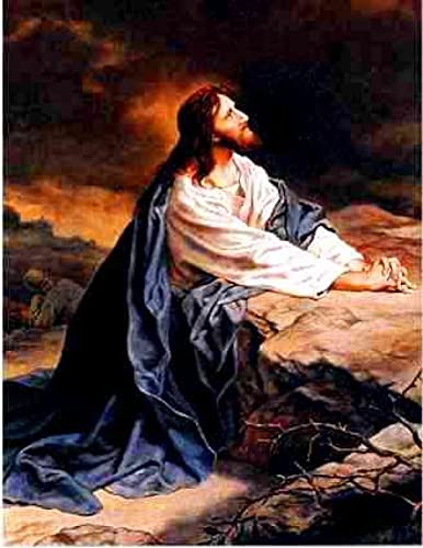 Puzzle für Erwachsene, 1000 Teile, Jungfrau Maria, Jesus Christus, christliches Familien-Lernspiel, Geburtstagsgeschenk, 50 x 70 cm Puzzle für Erwachsene, 1000 Teile, Jungfrau Maria, Jesus Christus, christliches Familien-Lernspiel, Geburtstagsgeschenk, 50 x 70 cm von AWYHEZ