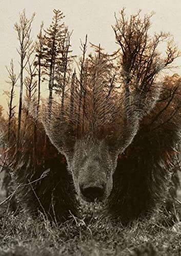 Puzzle für Erwachsene, 1000 Teile, Lernspiel, Herausforderung, Spielzeug, Bär, Braunbär, Schwarzbär, Heimdekoration, 50 x 70 cm Puzzle für Erwachsene, 1000 Teile, Lernspiel, Herausforderung, Spielzeug, Bär, Braunbär, Schwarzbär, Heimdekoration, 50 x 70 cm von AWYHEZ