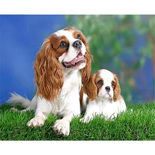 Puzzle für Erwachsene, 1000 Teile, Lernspiel, Herausforderung, Spielzeug, Cavalier King Charles Spaniel, Puzzle, Heimdekoration, 50 x 70 cm Puzzle für Erwachsene, 1000 Teile, Lernspiel, Herausforderung, Spielzeug, Cavalier King Charles Spaniel, Puzzle, Heimdekoration, 50 x 70 cm von AWYHEZ
