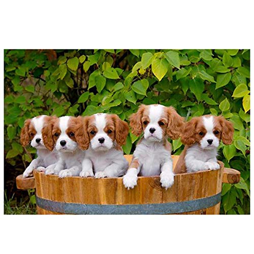 Puzzle für Erwachsene, 1000 Teile, Lernspiel, Herausforderung, Spielzeug, Cavalier King Charles Spaniel, Weihnachtsdekoration, 50 x 70 cm Puzzle für Erwachsene, 1000 Teile, Lernspiel, Herausforderung, Spielzeug, Cavalier King Charles Spaniel, Weihnachtsdekoration, 50 x 70 cm von AWYHEZ