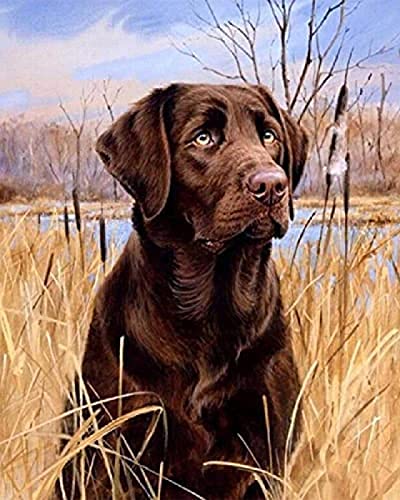 Puzzle für Erwachsene, 1000 Teile, Lernspiel, Herausforderung, Spielzeug, Labrador Retriever, Braun, Heimdekoration, 50 x 70 cm Puzzle für Erwachsene, 1000 Teile, Lernspiel, Herausforderung, Spielzeug, Labrador Retriever, Braun, Heimdekoration, 50 x 70 cm von AWYHEZ