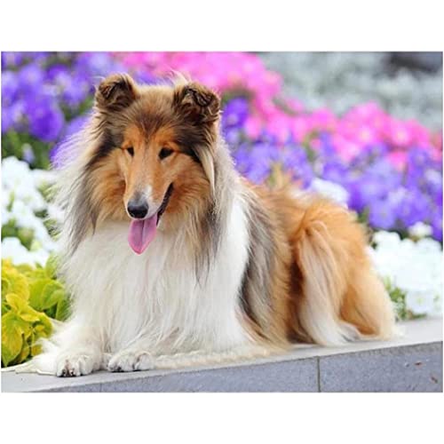 Puzzle für Erwachsene, 1000 Teile, Lernspiel, Herausforderung, Spielzeug, Schäferhund, Heimdekoration, 50 x 70 cm Puzzle für Erwachsene, 1000 Teile, Lernspiel, Herausforderung, Spielzeug, Schäferhund, Heimdekoration, 50 x 70 cm von AWYHEZ