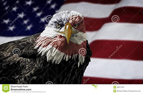 Puzzle für Erwachsene, 1000 Teile, Lernspiel, Herausforderung, Spielzeug, Weißkopfseeadler, Heimdekoration, 50 x 70 cm Puzzle für Erwachsene, 1000 Teile, Lernspiel, Herausforderung, Spielzeug, Weißkopfseeadler, Heimdekoration, 50 x 70 cm von AWYHEZ