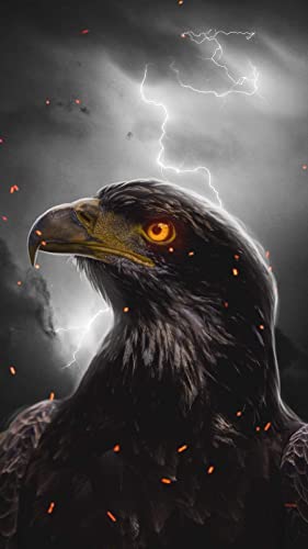Puzzle für Erwachsene, 1000 Teile, Lernspiel, Herausforderung, Spielzeug, Weißkopfseeadler, Tier, Heimdekoration, 38 x 52 cm Puzzle für Erwachsene, 1000 Teile, Lernspiel, Herausforderung, Spielzeug, Weißkopfseeadler, Tier, Heimdekoration, 38 x 52 cm von AWYHEZ