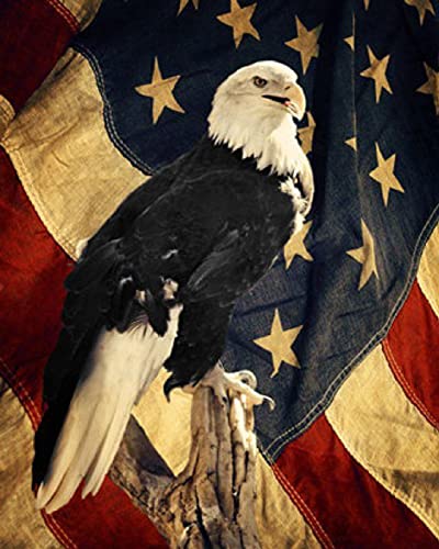Puzzle für Erwachsene, 1000 Teile, Lernspiel, Herausforderungsspielzeug, Weißkopfseeadler, Nationalschatz, Heimdekoration, 50 x 70 cm Puzzle für Erwachsene, 1000 Teile, Lernspiel, Herausforderungsspielzeug, Weißkopfseeadler, Nationalschatz, Heimdekoration, 50 x 70 cm von AWYHEZ