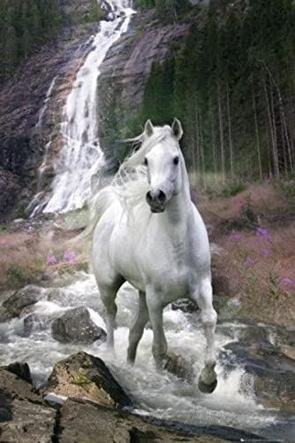 Puzzle für Erwachsene, 1000 Teile, Pferd, Tier, Basteln, Lernspielzeug, intellektuelles Spiel, Geschenk, 26 x 38 cm von AWYHEZ
