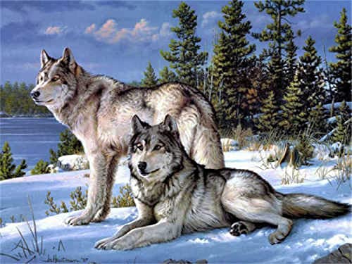 Puzzle für Erwachsene, 1000 Teile, Schneewolf, Tierbild, Heimdekoration, Lernspielzeug, intellektuelles Spiel, Geschenk, 50 x 70 cm von AWYHEZ
