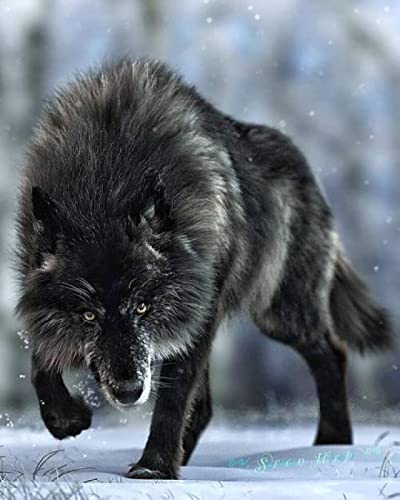 Puzzle für Erwachsene, 1000 Teile, Schneewolf-Set, Kunst, Wanddekoration, Lernspielzeug, intellektuelles Spiel, Geschenk, 50 x 70 cm von AWYHEZ