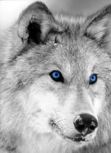 Puzzle für Erwachsene, 1000 Teile, Tierwolf, Dekoration, Heim, Lernspielzeug, intellektuelles Spiel, Geschenk, 50 x 70 cm von AWYHEZ