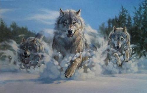 Puzzle für Erwachsene, 1000 Teile, Wolf, Schneewolf, Wandkunst, Poster, Lernspielzeug, intellektuelles Spiel, Geschenk, 50 x 70 cm von AWYHEZ