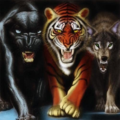 Puzzle für Erwachsene, 1000 Teile, Wolfstier, Wanddekoration, Lernspielzeug, Intelligenzspiel, Geschenk, 38 x 52 cm Puzzle für Erwachsene, 1000 Teile, Wolfstier, Wanddekoration, Lernspielzeug, Intelligenzspiel, Geschenk, 38 x 52 cm von AWYHEZ