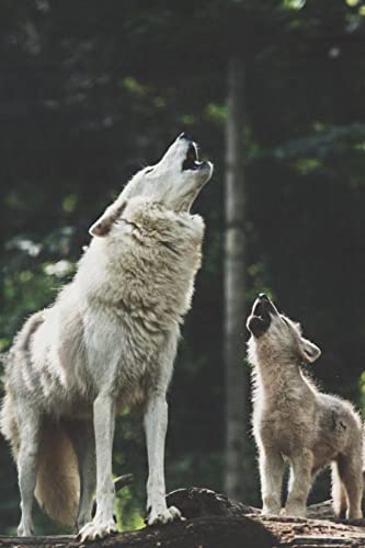 Puzzle für Erwachsene, 1000 Teile, Wolfstier, Wanddekoration, Lernspielzeug, Intelligenzspiel, Geschenk, 50 x 70 cm Puzzle für Erwachsene, 1000 Teile, Wolfstier, Wanddekoration, Lernspielzeug, Intelligenzspiel, Geschenk, 50 x 70 cm von AWYHEZ