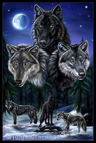 Puzzle für Erwachsene, 1000 Teile, Wolfstier, Wanddekoration, Lernspielzeug, Intelligenzspiel, Geschenk, 50 x 70 cm Puzzle für Erwachsene, 1000 Teile, Wolfstier, Wanddekoration, Lernspielzeug, Intelligenzspiel, Geschenk, 50 x 70 cm von AWYHEZ