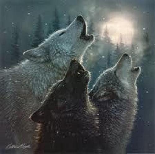 Puzzle für Erwachsene, 1000 Teile, Wolfstier, Wanddekoration, Lernspielzeug, Intelligenzspiel, Geschenk, 50 x 70 cm Puzzle für Erwachsene, 1000 Teile, Wolfstier, Wanddekoration, Lernspielzeug, Intelligenzspiel, Geschenk, 50 x 70 cm von AWYHEZ