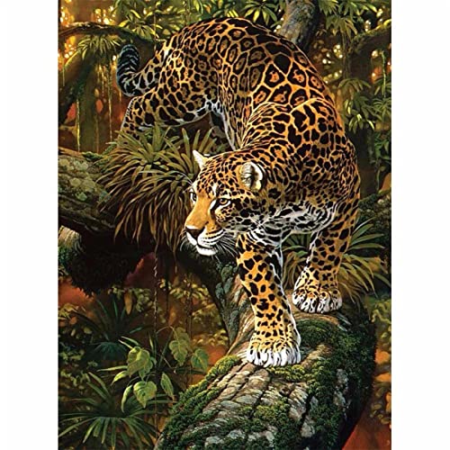 Puzzle für Erwachsene, 2000 Teile, Lernspiel, Herausforderung, Spielzeug, Charakter-Poster, Heimdekoration, 70 x 100 cm von AWYHEZ