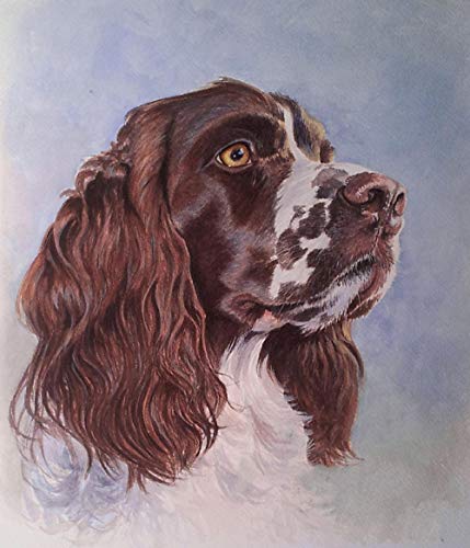 Puzzle für Erwachsene, 2000 Teile, Lernspiel, Herausforderung, Spielzeug, Springer Spaniel, Heimdekoration, 70 x 100 cm Puzzle für Erwachsene, 2000 Teile, Lernspiel, Herausforderung, Spielzeug, Springer Spaniel, Heimdekoration, 70 x 100 cm von AWYHEZ