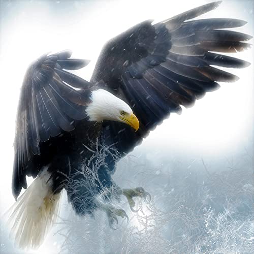 Puzzle für Erwachsene, 2000 Teile, Lernspiel, Herausforderung, Spielzeug, Weißkopfseeadler, Heimdekoration, 70 x 100 cm von AWYHEZ
